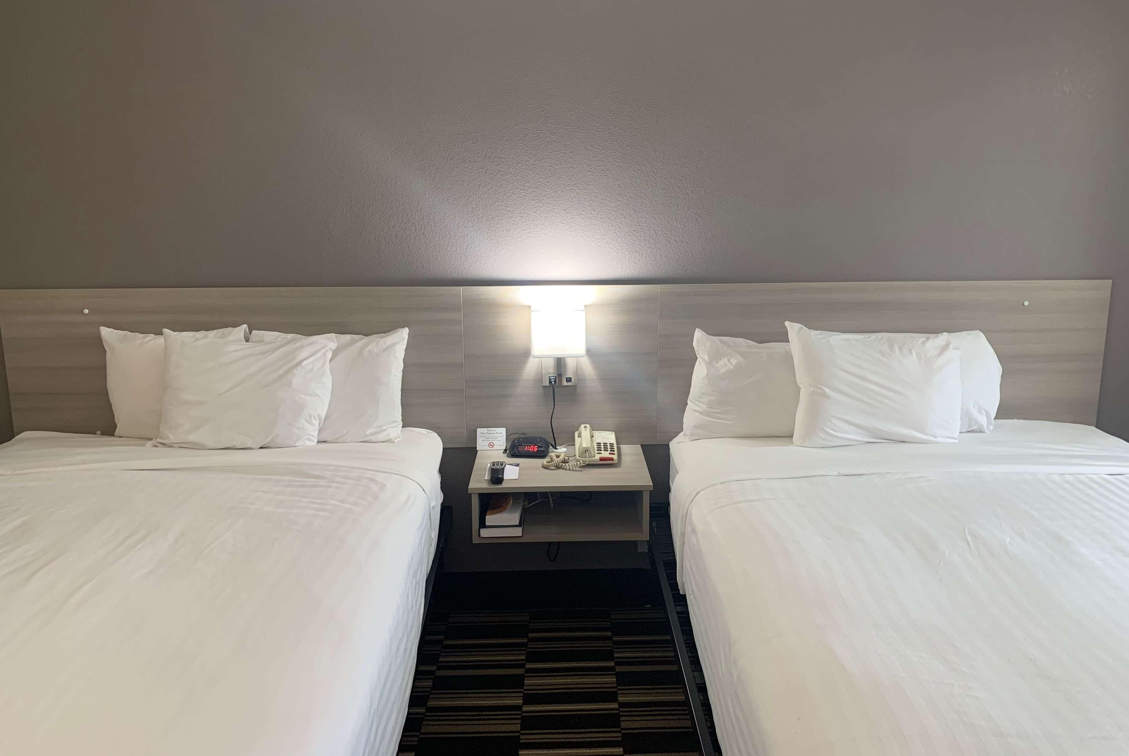 Microtel Inn By Wyndham Charlotte Airport מראה חיצוני תמונה